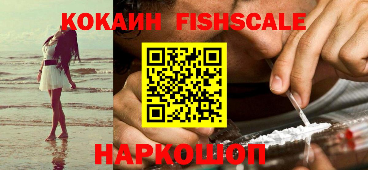 Кировск  Кокаин Fish Scale  купить наркотики цена  Вход с VPN 