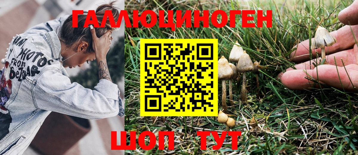 Псилоцибиновые грибы прущие грибы  купить наркотик  Кировск  Вход с VPN 