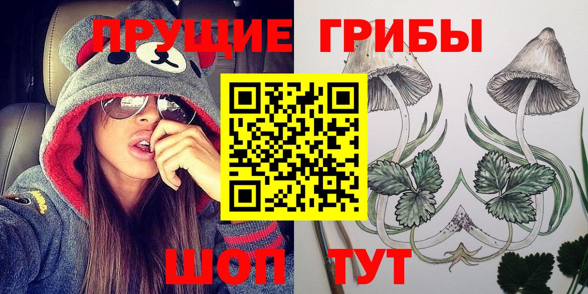 Псилоцибиновые грибы мицелий Кировск